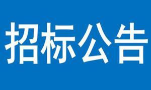 文達·甘棠雅苑住宅小區建設項目商業用房鋼樓梯及欄桿扶手、地下車庫出入口輕鋼雨棚及通風采光井輕鋼雨棚工程流標公告